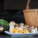 Bajta - Rogla Apartamento