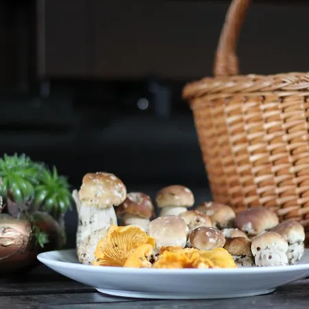 Bajta - Rogla Apartamento