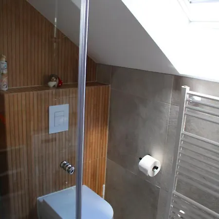 Bajta - Rogla Apartament