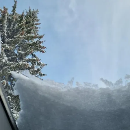 Bajta - Rogla *