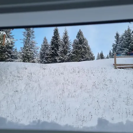 Bajta - Rogla * Zreče