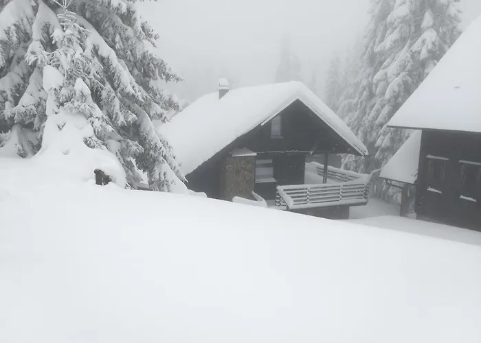 Apartma Bajta - Rogla