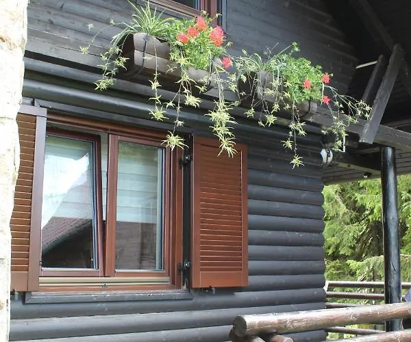 Bajta - Rogla * Zreče