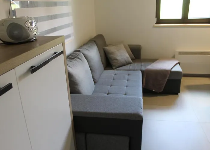 Bajta - Rogla Apartma