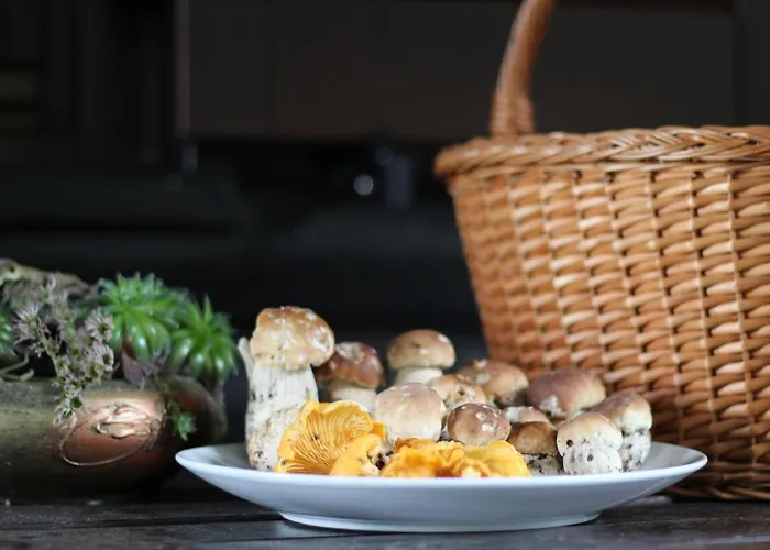 Bajta - Rogla Apartma