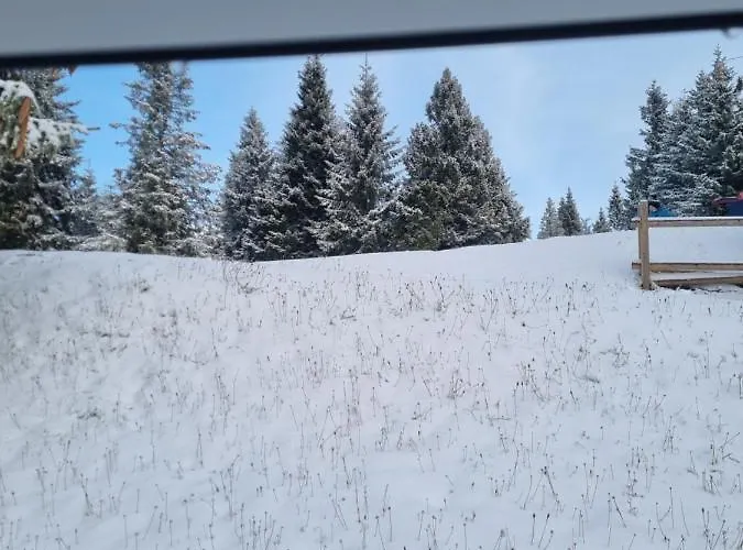 Bajta - Rogla * Zrece